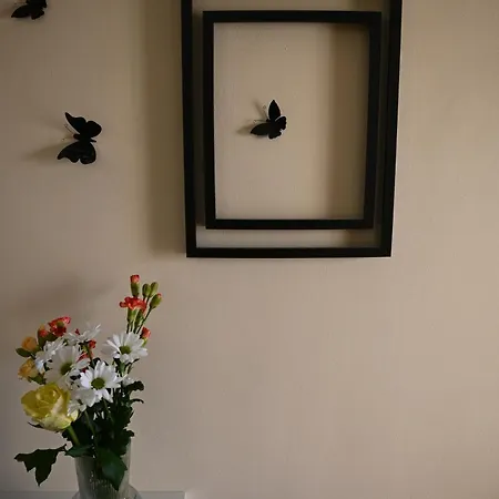 Frühstückspension Recinatum 1296 Recanati